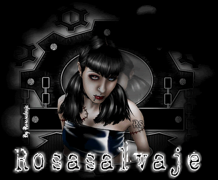 rosa-14.gif picture by rochy4ever