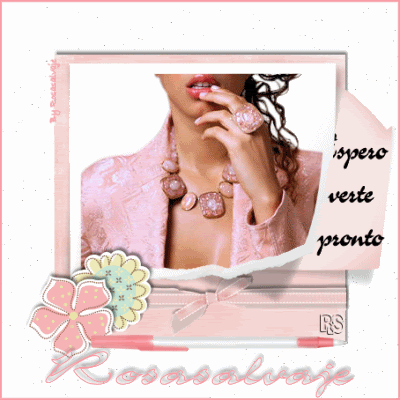 rosasalvajevertepronto-1.gif picture by rochy4ever