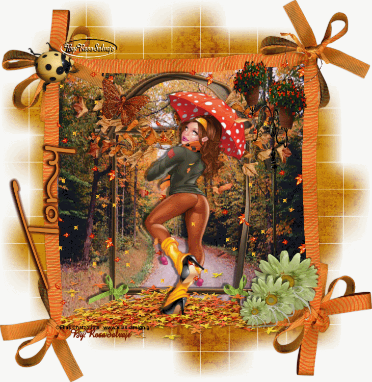 tony-2.gif picture by rochy4ever