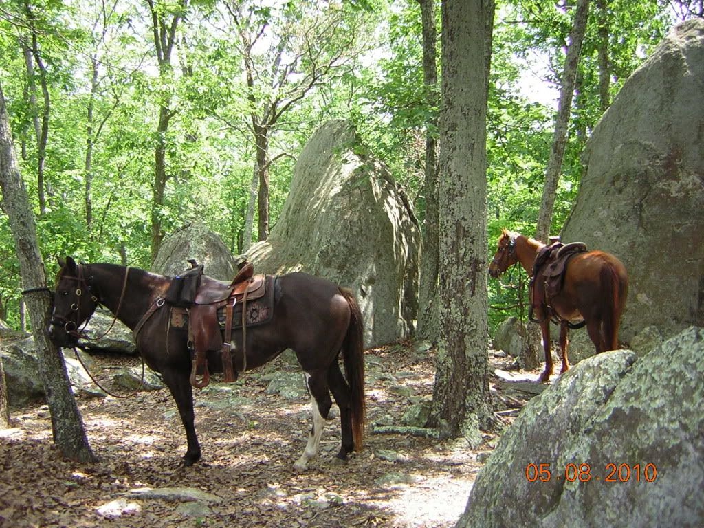 UwharrierideMay10005.jpg