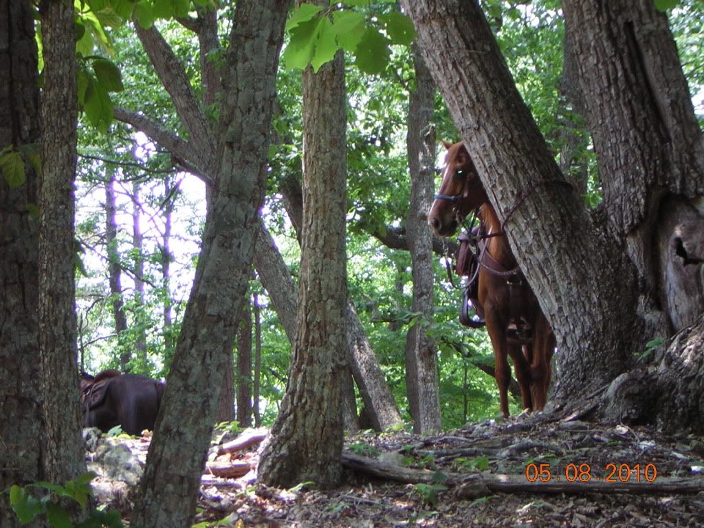 UwharrierideMay10013.jpg