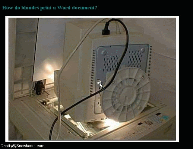 02ha14-blonde-word-print.gif