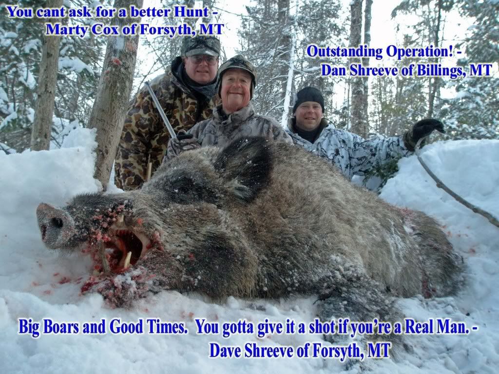 Boar Hunting