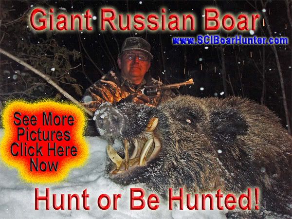 Boar Hunting in the Winter Snows