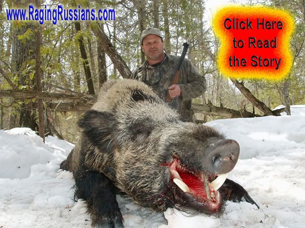 Russian Boar and the 30-30 Winchester, a North American Classic