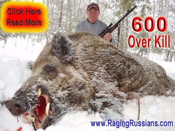 Russian Boar Hunts with the 600 Overkill