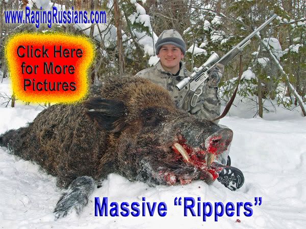 Russian Boar Hunts: Dangerous Game Hunting Adventures – Kids Lovin It!
