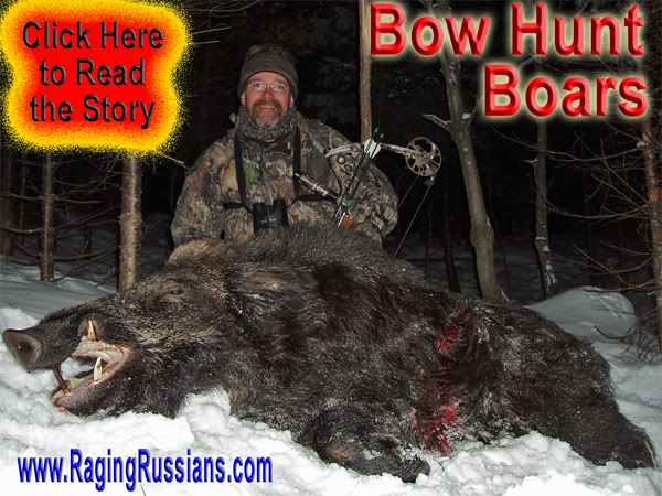 Russian Boar Hunting – Siberian Snow Hunts