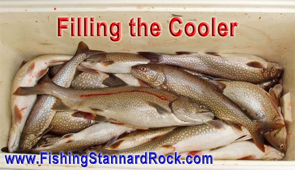 FilllingtheCooler Stannard Rock Lake Trout   Filling the Cooler