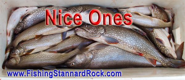 NiceOnes Stannard Rock Lake Trout   Filling the Cooler