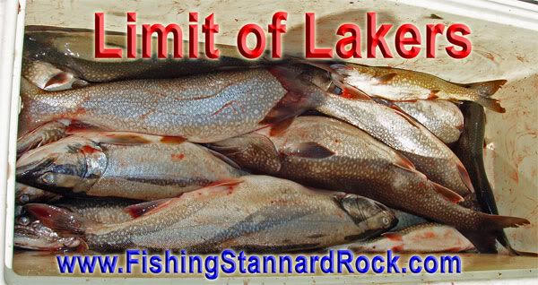 limitoflakers Stannard Rock Lake Trout   Filling the Cooler