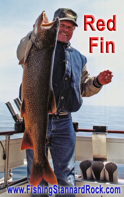 LahtiRedFin Trophy Red Fin Lake Trout on Light Tackle