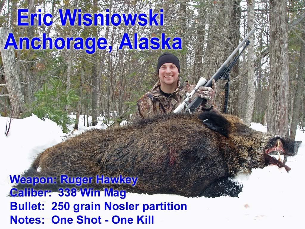 Boar Hunting