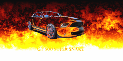 Posted Image