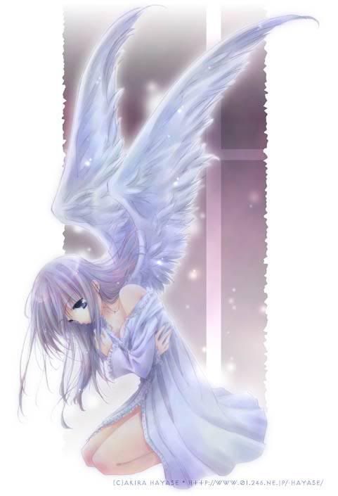 anime girl with wings