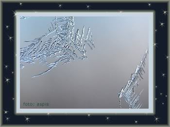 http://weihnachtslesung.podspot.de/post/josefine-praxl-eder-eisbluman-am-fensta/ Bild
