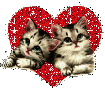 katten liefde Pictures, Images and Photos
