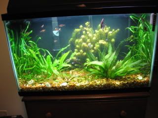 Seachem Planted Aquarium Dosing Chart