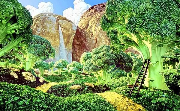 broccoli-forest-carl-warner.jpg picture by soandjo