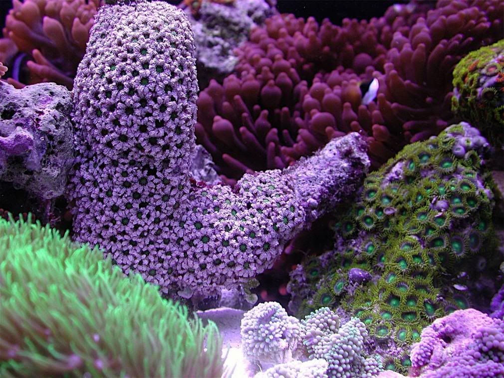 DSCN9559.jpg