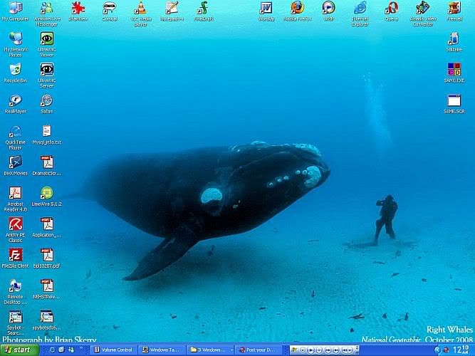 desktop_0905.jpg