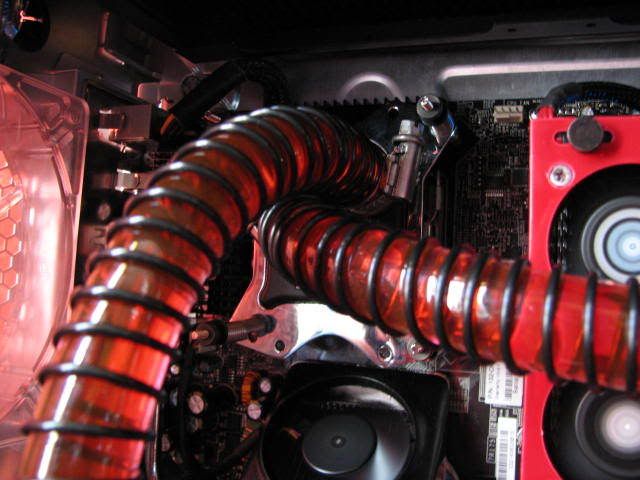 Picture005.jpg