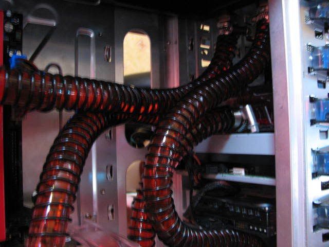 Picture006.jpg