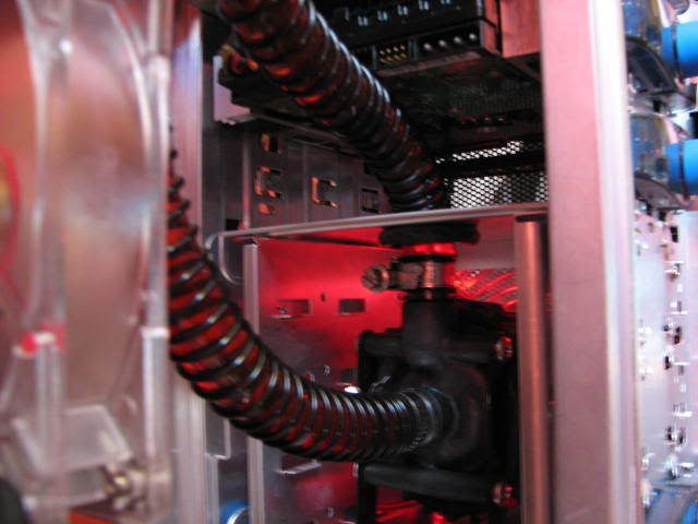 Picture007.jpg