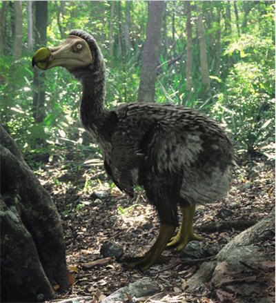 Animales! extintos,en peligro y las nuevas especies! Animales! extintos,en peligro y las nuevas especies!