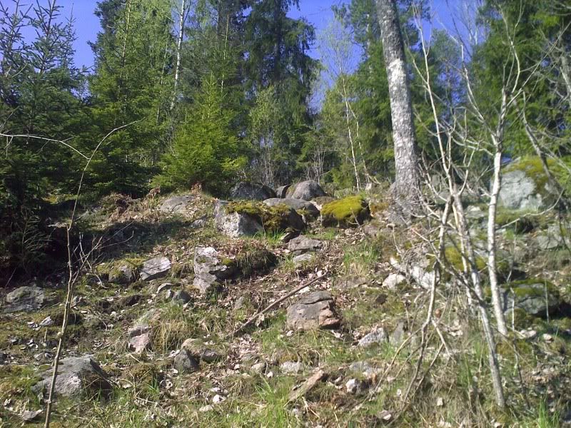 External image
