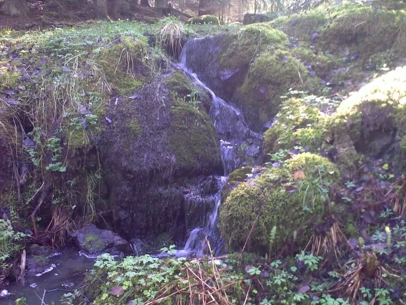 External image