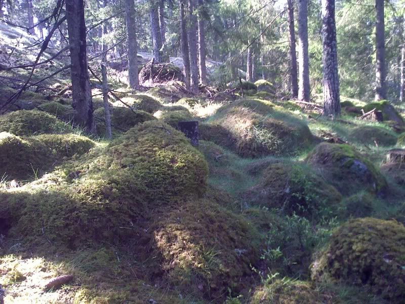 External image
