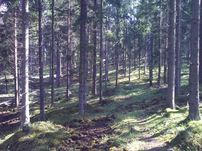 External image