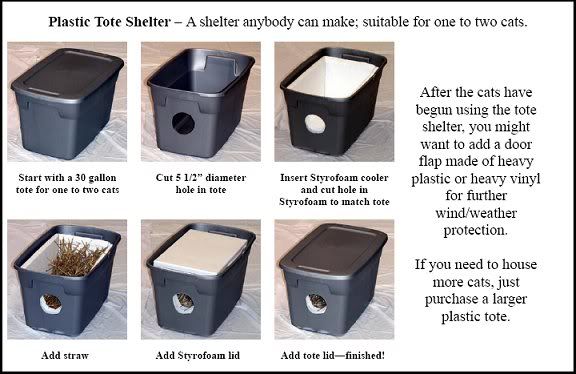 OUTDOOR CAT SHELTER AND FEEDING STATION IDEAS