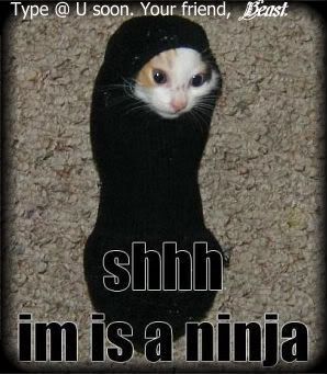 ninja-1-1.jpg image by CowboyBeast