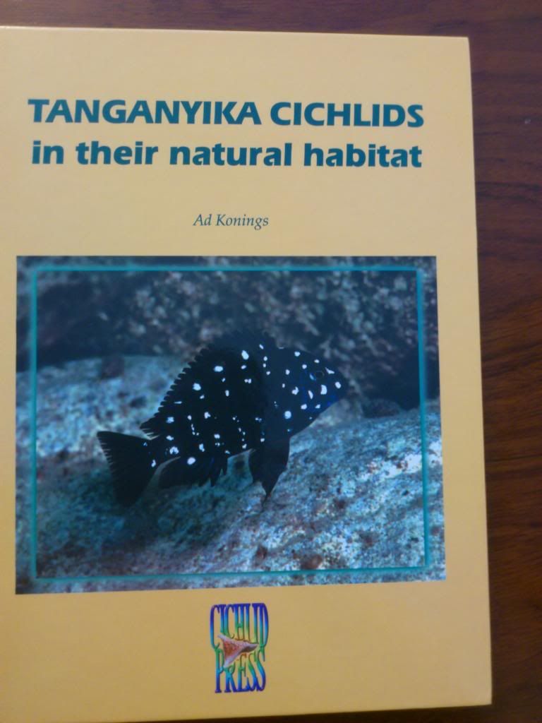 Tanganyika+cichlids+in+their+natural+habitat