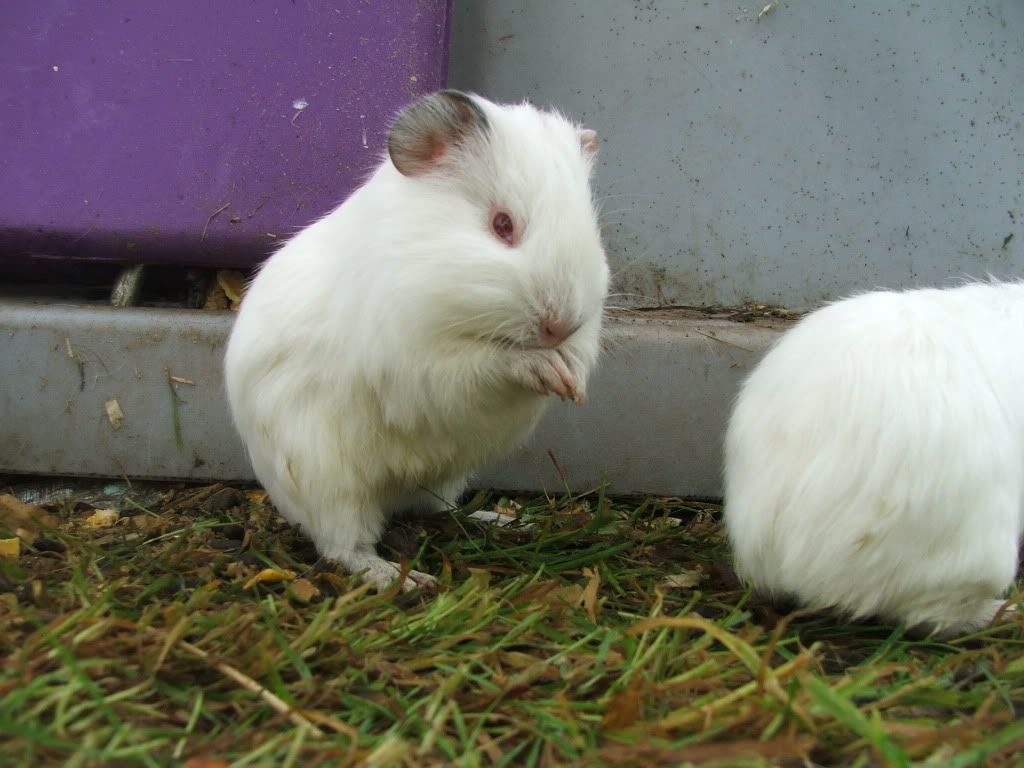 DSCF5094.jpg
