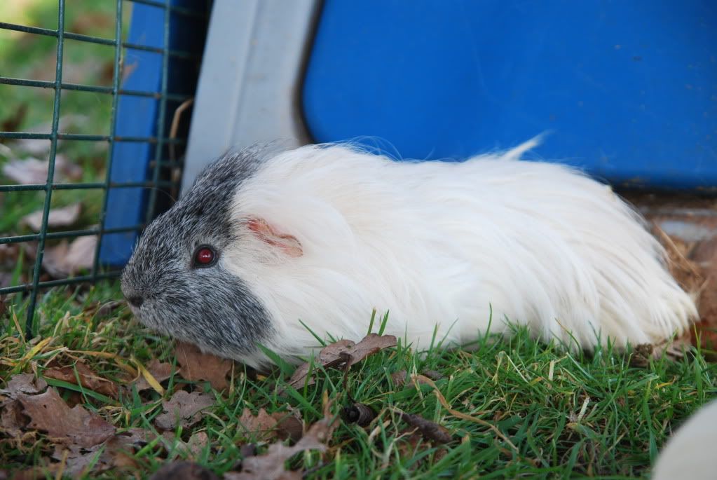 DSC_0312.jpg