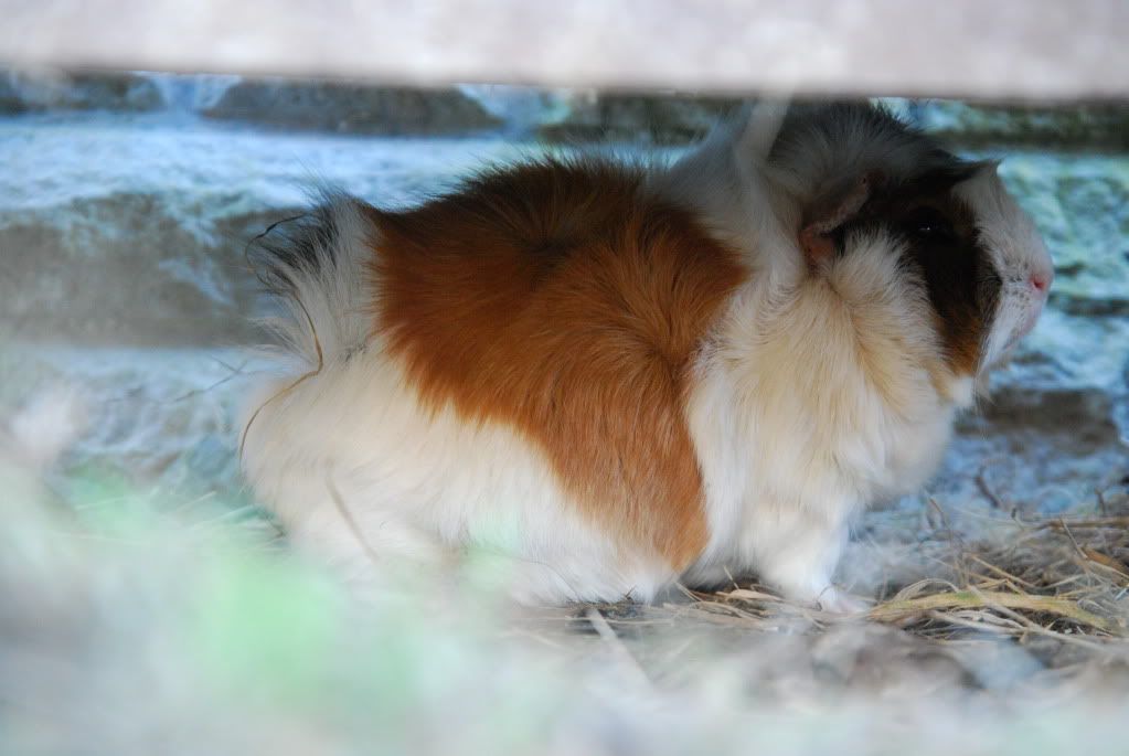DSC_0375.jpg
