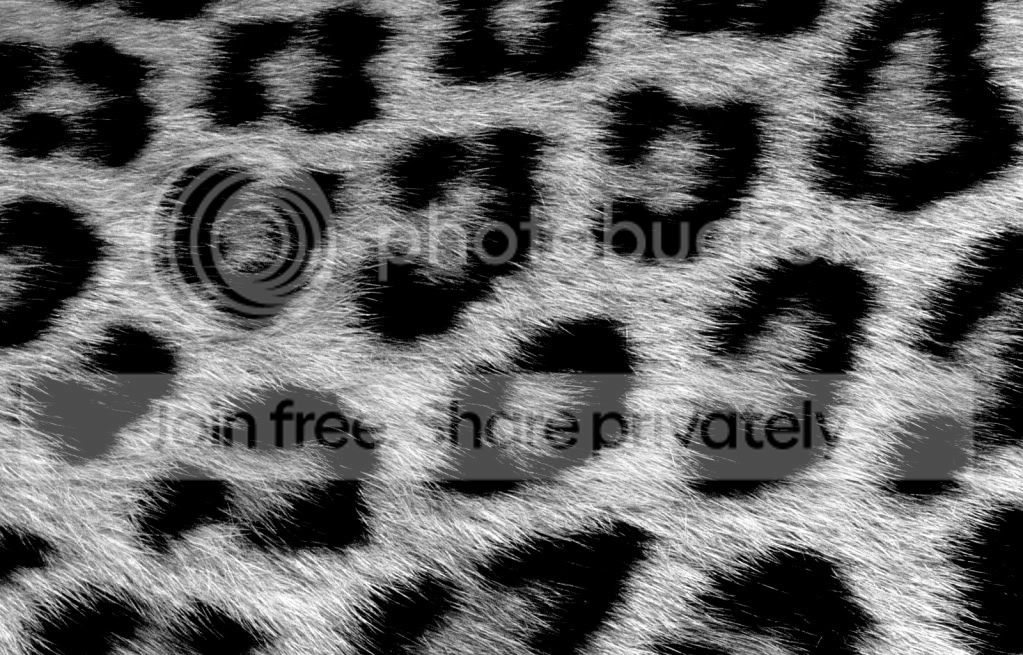 furry role play banner