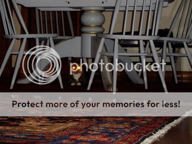 https://i274.photobucket.com/albums/jj256/Dilbert_X/009-2.jpg