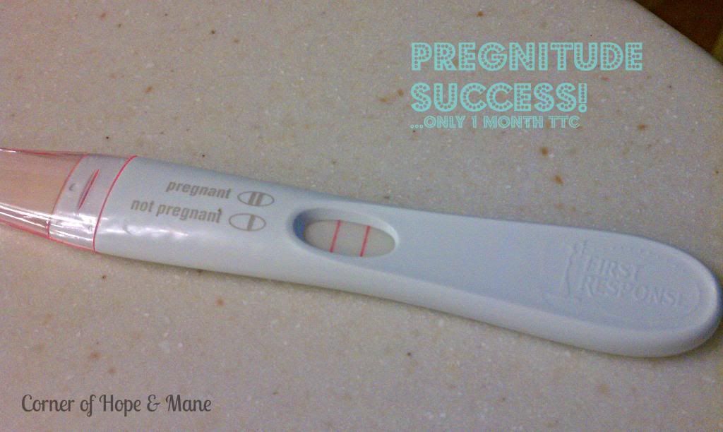 Pregnitude Success Stories