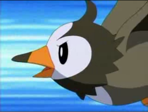 [PokeCommunity.com] x~-/...[the b i r d pokémon club].../-~x