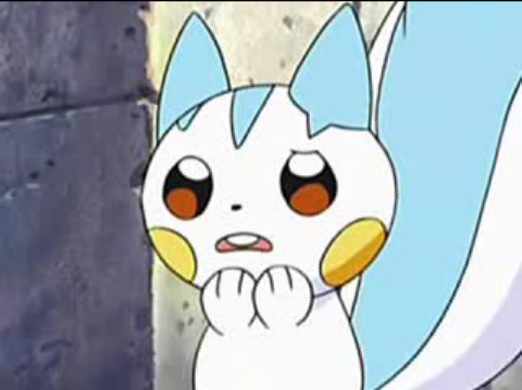 [PokeCommunity.com] [*~ The Pikachu and Pachirisu FanClub! ~*]