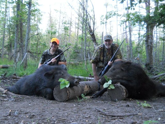 Russian Boars Hunts