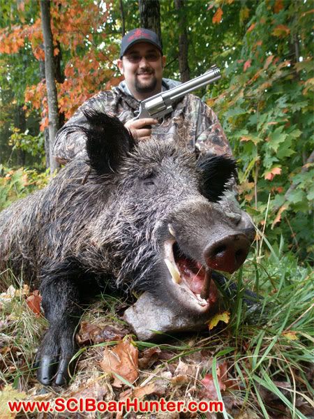 Dirty Harry has nothing on the S&W 500 Russian Boar Hunting with a Cannon