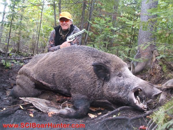 Russian Boar Hunting with Mr Smith