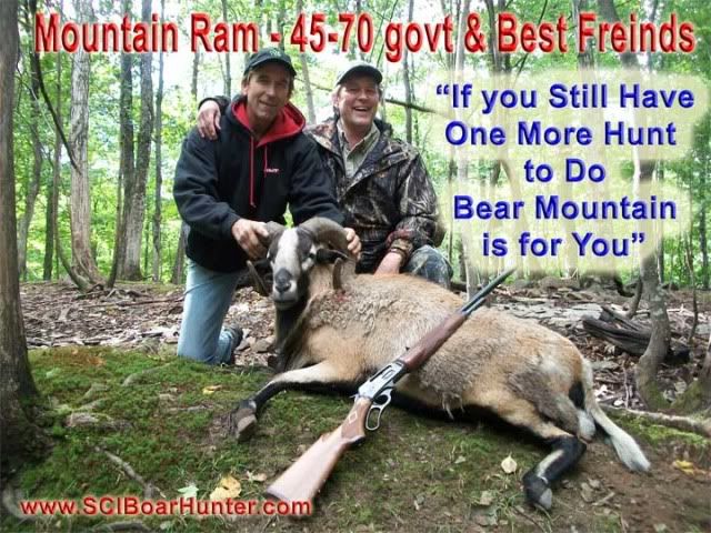 Hunt Russian Boar