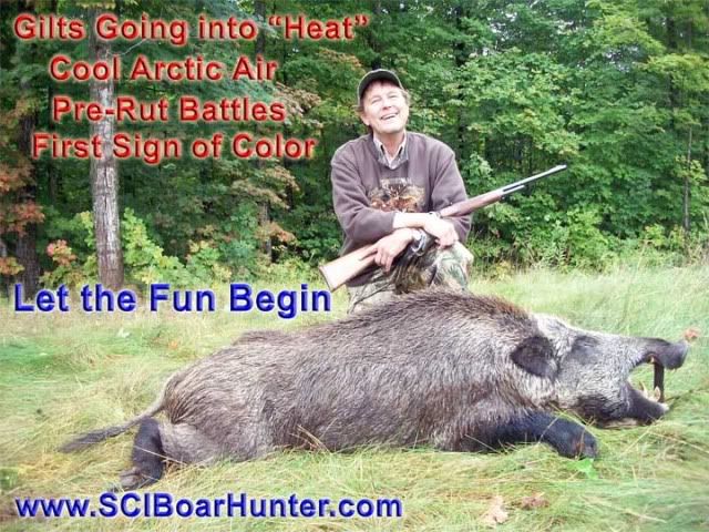 Hunt Russian Boar