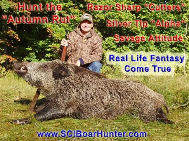 Hunt Russian Boar